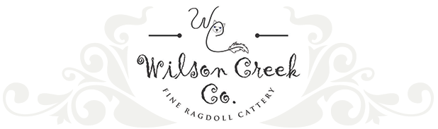 Wilson Creek Co. logo